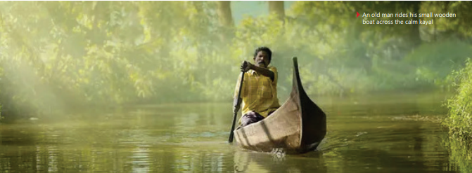 KERALA: THE SYMPHONY OF CULTURES AND NATURE | The Evident